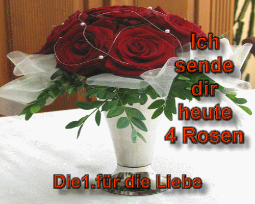 ext. Bild