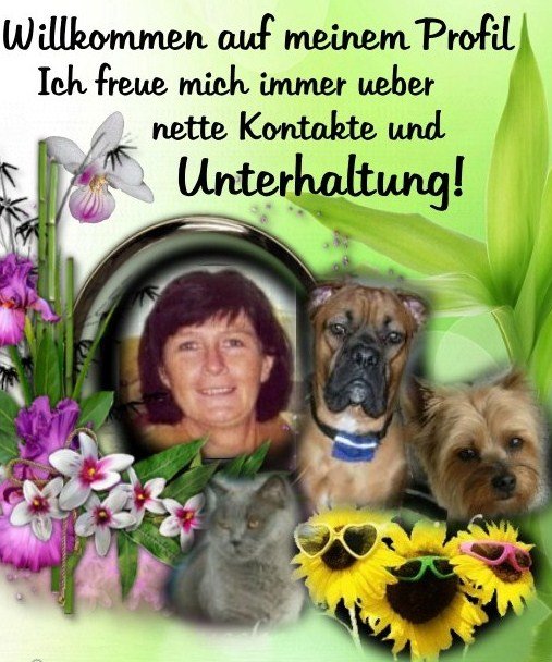 ext. Bild