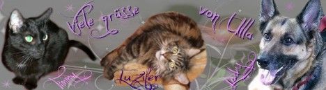Banner :: Satansbraten