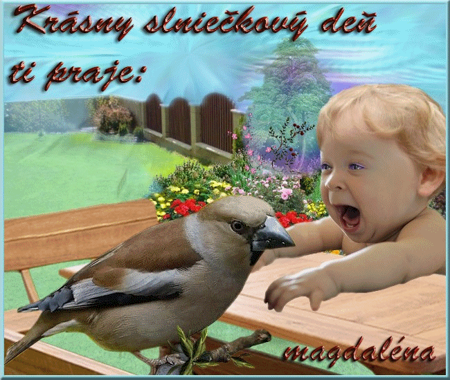 i9phntacvg1.gif