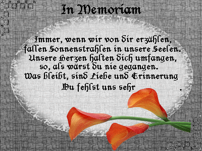 ext. Bild