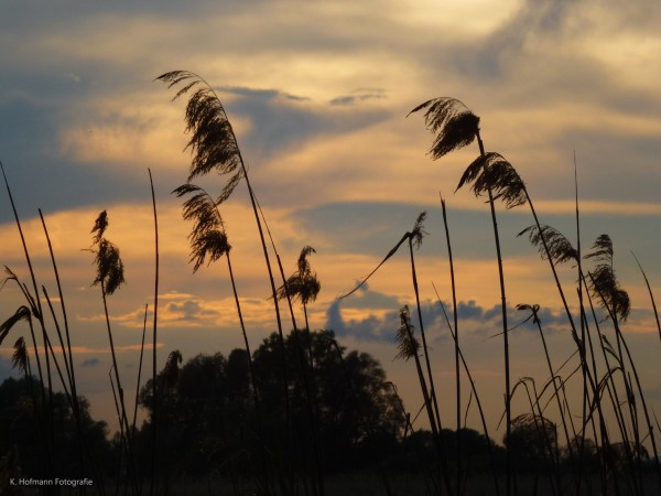 An den Beitrag angehängtes Bild: http://img21.dreamies.de/img/69/b/pmnpmxx1lk9.jpg