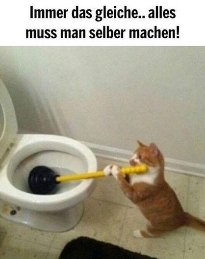 Putzen ist für Männer gefährlicher als für lustich.de