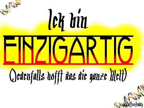 ext. Bild