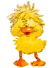 57r0s2lfxkr.gif
