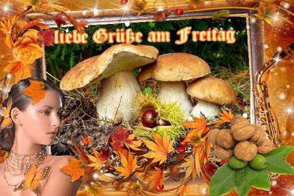 An den Beitrag angehängtes Bild: https://img21.dreamies.de/img/731/b/ai2xhdeyrst.jpg