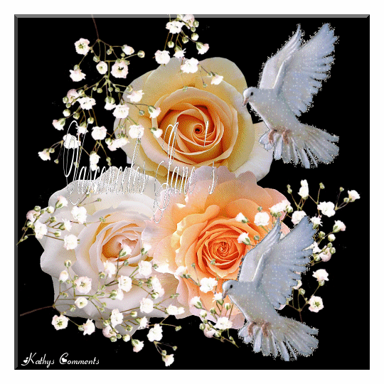 540_540gif 动态图 动图